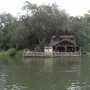 magic-kingdom-17