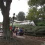 magic-kingdom-18