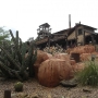 magic-kingdom-19