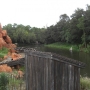 magic-kingdom-24