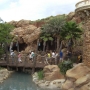 magic-kingdom-40