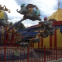 magic-kingdom-61