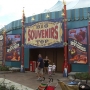 magic-kingdom-75
