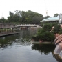 magic-kingdom-81