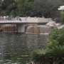 magic-kingdom-82