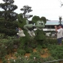 magic-kingdom-85