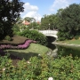walt-disney-word-12