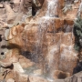 walt-disney-word-129