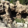 walt-disney-word-130