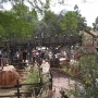 walt-disney-word-18