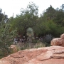 walt-disney-word-20