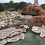 walt-disney-word-22