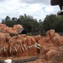 walt-disney-word-23