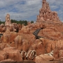 walt-disney-word-25
