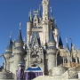 walt-disney-word-50