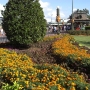 walt-disney-word-55