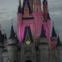 walt-disney-word-75