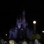 walt-disney-word-78