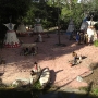 tom-sawyer-island-18